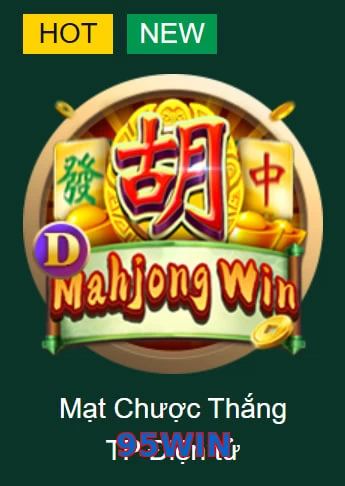 95WIN