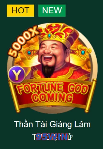 95WIN